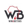 Winabet365